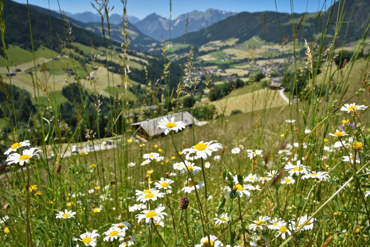 Apartmán Haus Dorferstuck Alpbach Exteriér fotografie